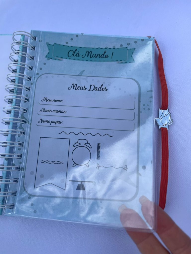 Caderneta de vacinação personalizada tema Aviador para menino