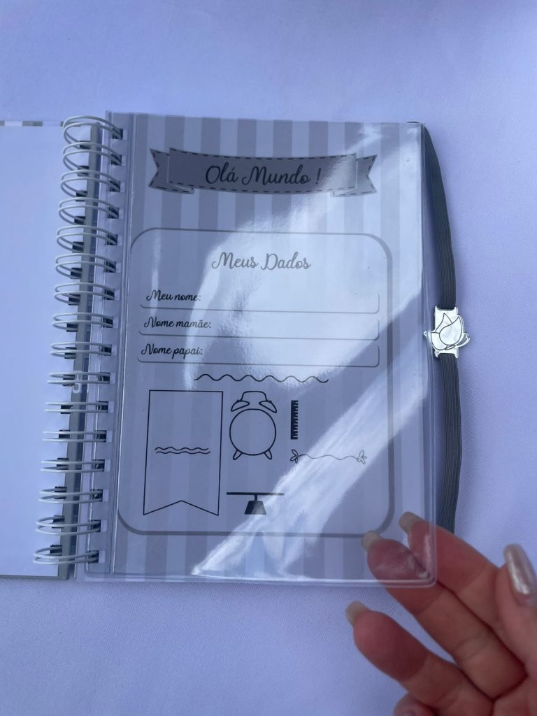 Caderneta de vacinação personalizada tema Cinza para menino