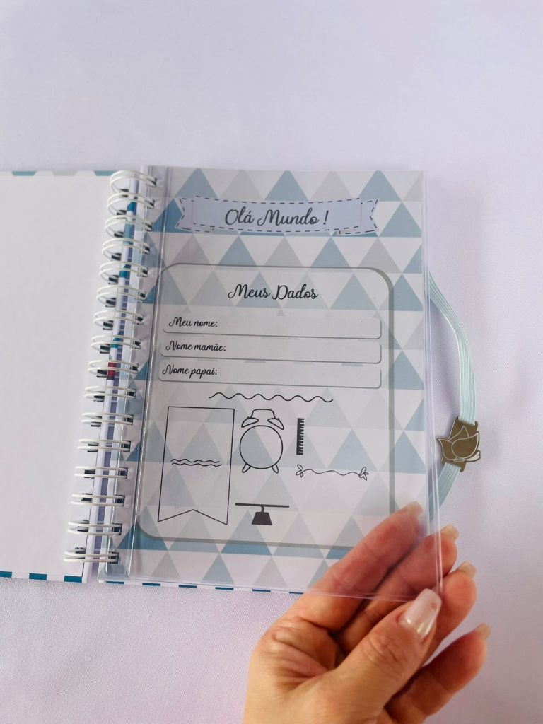 Caderneta de vacinação personalizada tema Xadrez Azul para menino